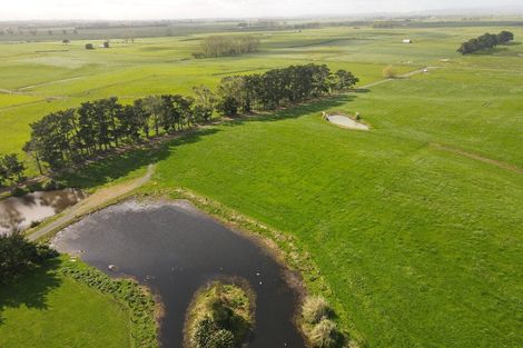 Photo of property in 718 Whitikahu Road, Whitikahu, 3792