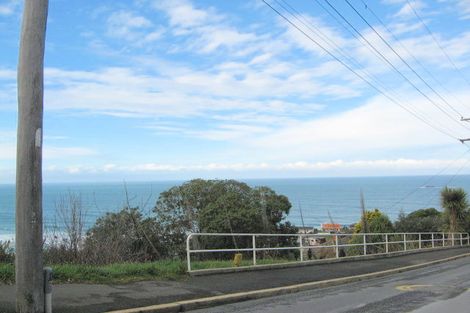 Photo of property in 111 Ravenswood Road, Saint Clair, Dunedin, 9012