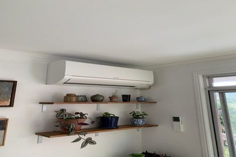 Photo of property in 1/31 Ivy Place, Birkdale, Auckland, 0626