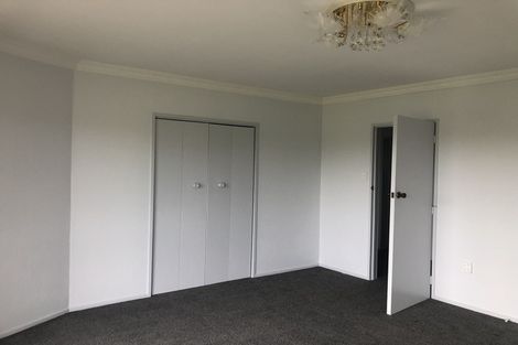 Photo of property in 214 Peacockes Road, Fitzroy, Hamilton, 3282