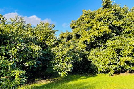 Photo of property in 330 No 2 Road, Te Puke, 3182