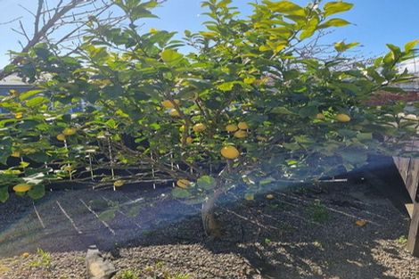 Photo of property in 1/56 Mary Crescent, Elderslea, Upper Hutt, 5018