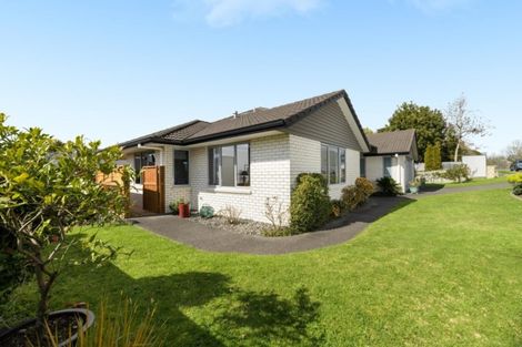 Photo of property in 47r Hollister Lane, Ohauiti, Tauranga, 3112