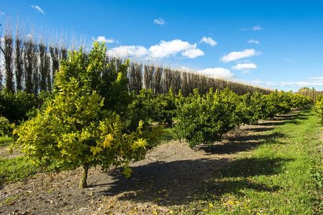Photo of property in 37 Kirkpatrick Road, Patutahi, Gisborne, 4072