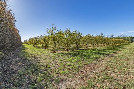 Photo of property in 599 Pesters Road, West Eyreton, 7475