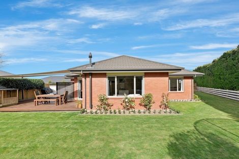 Photo of property in 3 Emerson Lane, Rolleston, 7614