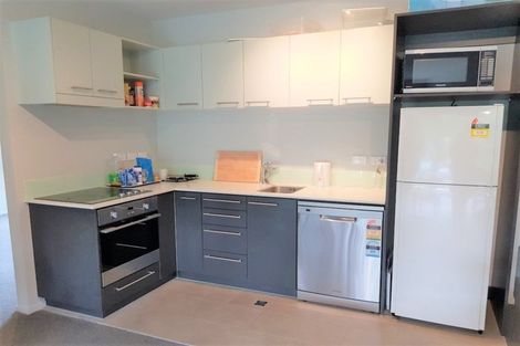 Photo of property in Detroit Apartments, 212/181u Tasman Street, Mount Cook, Wellington, 6021