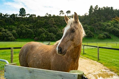 Photo of property in 51 Manukawiri Way, Martinborough, Greytown, 5794