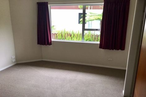 Photo of property in 49 Domett Street, Nelson, 7010
