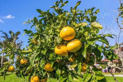 Photo of property in 73 Colonel Mould Drive, Mangonui, 0420