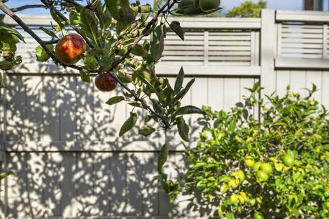 Photo of property in 33 Eversleigh Road, Belmont, Auckland, 0622