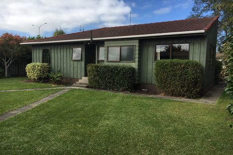 Photo of property in 29 Bailey Avenue, Claudelands, Hamilton, 3214