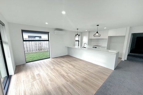 Photo of property in 100 Monarch Drive, Rolleston, 7614