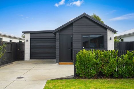 Photo of property in 3 Hinaki Street, Poike, Tauranga, 3112