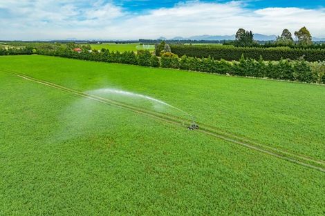 Photo of property in 375 Sharlands Road, Dunsandel, Rakaia, 7783