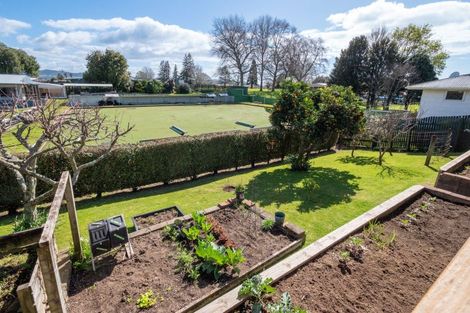 Photo of property in 16 King Street, Te Puke, 3119