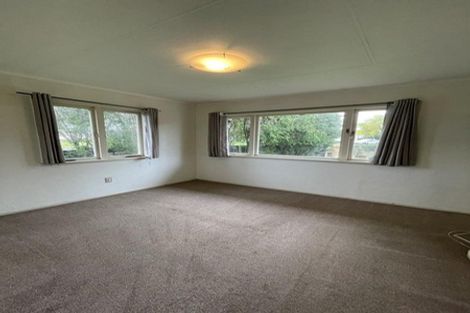 Photo of property in 19 Freyberg Crescent, Pukekohe, 2120