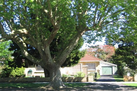Photo of property in 21 Meura Street, Matamata, 3400