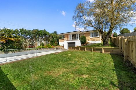 Photo of property in 16 Prisk Street, Melville, Hamilton, 3206