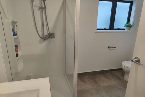 Photo of property in 15 Dorricott Avenue, Hobsonville, Auckland, 0616