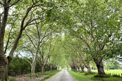 Photo of property in Hawthorne House, 1420 Railway Road South, Pakipaki, Hastings, 4178