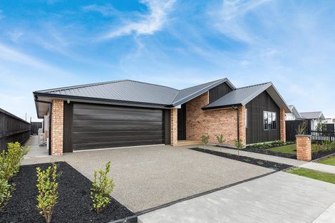 Photo of property in 17 Evans Street, Morrinsville, 3300