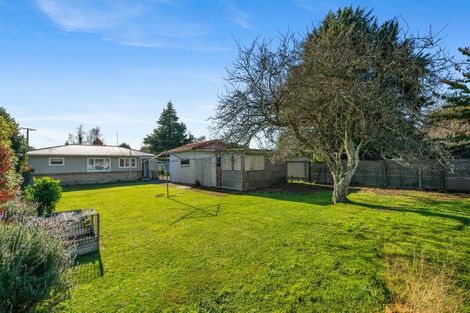 Photo of property in 103 Mulgrave Street, Ashhurst, 4810