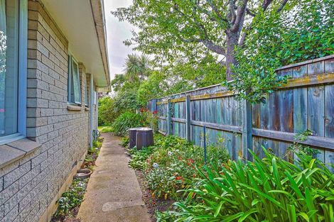 Photo of property in 3/7 Scannell Street, Havelock North, 4130