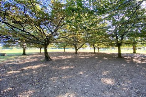 Photo of property in 258a Gladstone Road, Levin, 5571