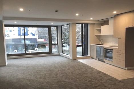 Photo of property in Vsp South, 105/168u Victoria Street, Te Aro, Wellington, 6011