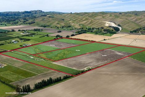 Photo of property in 85 West Road, Mangatainoka, Pahiatua, 4982