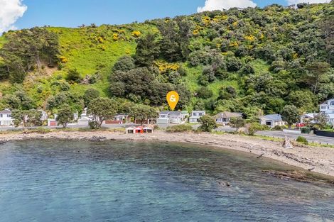Photo of property in 141 Breaker Bay Road, Breaker Bay, Wellington, 6022