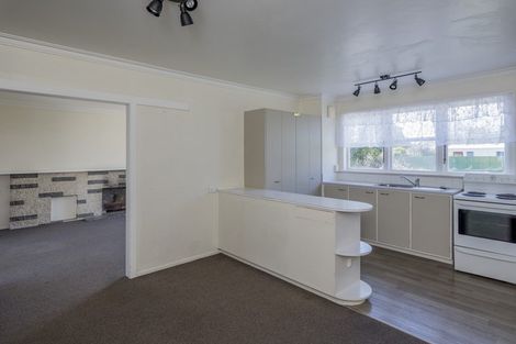 Photo of property in 52 Graham Street, Levin, 5510