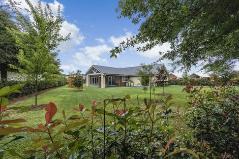 Photo of property in 11 Eldonwood Drive, Matamata, 3400