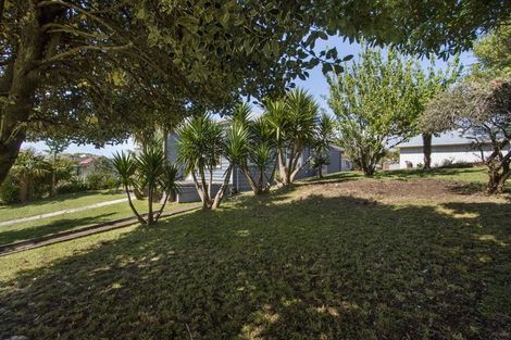 Photo of property in 24 Gilmour Street, Waihi, 3610