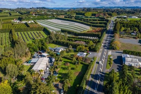 Photo of property in 553 Kerikeri Road, Kerikeri, 0293