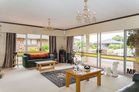 Photo of property in 117 Guy Street, Dannevirke, 4930