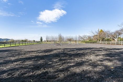 Photo of property in 365 Maungatautari Road, Cambridge, 3494