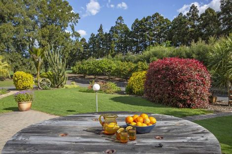 Photo of property in 261a Rotowaro Road, Huntly, 3771