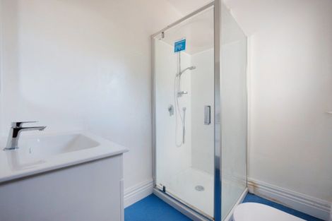Photo of property in 50 Riddiford Street, Newtown, Wellington, 6021