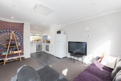 Photo of property in 16u7 Hammond Street, Hamilton Central, Hamilton, 3204