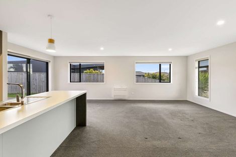 Photo of property in 4 Feltham Street, Richmond, 7020