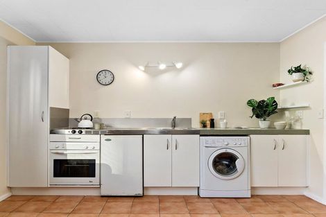 Photo of property in 52u1 Russell Terrace, Berhampore, Wellington, 6023