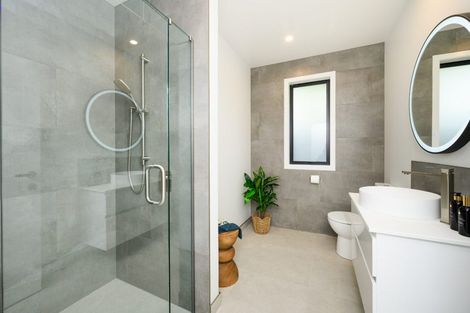 Photo of property in 10c Limbrick Street, Terrace End, Palmerston North, 4410