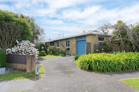 Photo of property in 45 Kennedy Drive, Levin, 5510