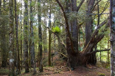 Photo of property in 50c Old Valley Road, Okaihau, 0475