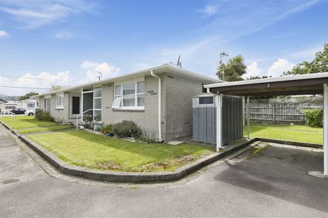 Photo of property in 3/3 Copeland Street, Hutt Central, Lower Hutt, 5011