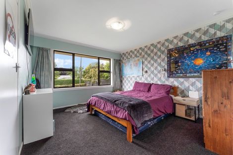 Photo of property in 19 Brecon Road, Stratford, 4332