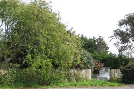 Photo of property in 85 Strange Street, Waitara, 4320