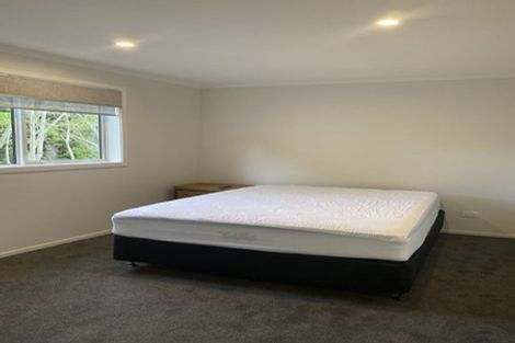 Photo of property in 651 Grey Street, Hamilton East, Hamilton, 3216